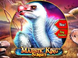 Majestic King - Sunset thumbnail
