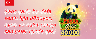 Bedava Dönüş Fırsatı 🎡 promotion banner